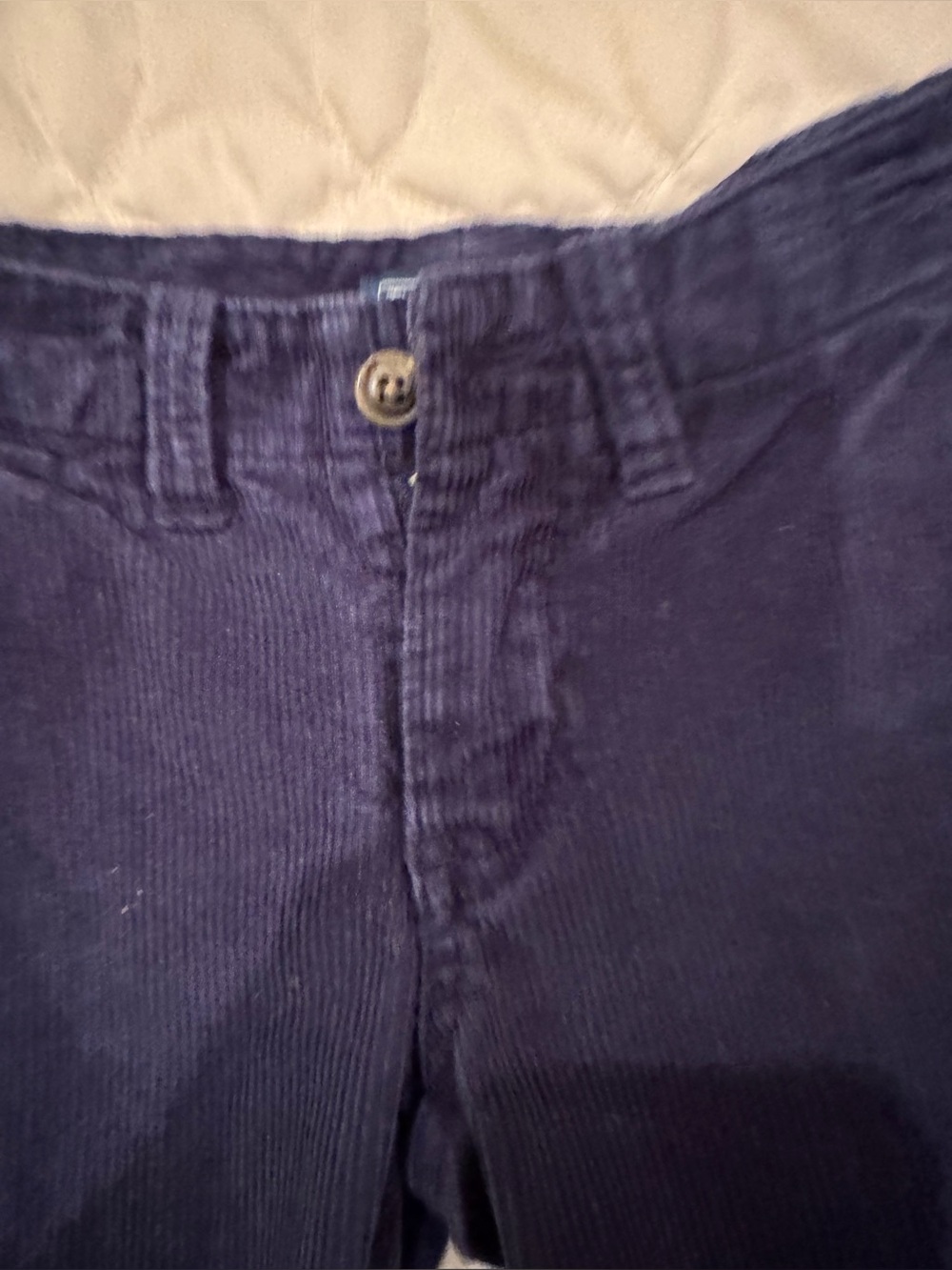 Polo Ralph Lauren Boys Navy Corduroy Pants Size 4T - Picture 2 of 5